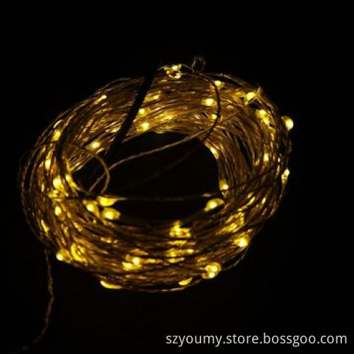 Waterproof 5M 50pcs LEDs, DC 12V, Silver Ccooper Wire LED String Light